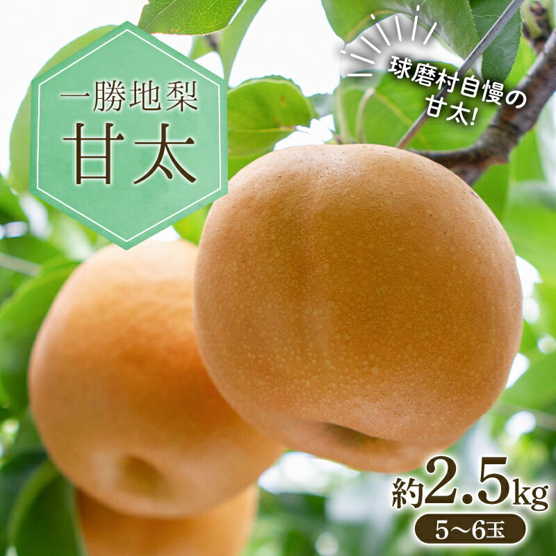 【ふるさと納税】一勝地梨 甘太 約2.5kg なし ナシ デザート フルーツ 果物 くだもの 果実 食品 FKP9-713