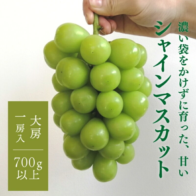 【ふるさと納税】 【数量限定】大粒シャインマスカット厳選品1房 700g以上(岡山県産)【9月以降順次発送予定】【配送不可地域：離島】きよとうファーム ぶどう ブドウ 葡萄 岡山 シャインマスカット 先行予約 フルーツ 果物 真庭市