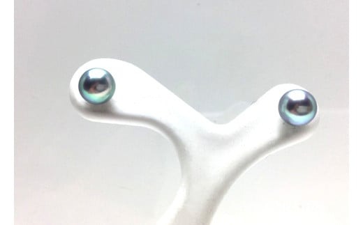 真珠 ピアス 5.0～5.5ミリ K18YG ゴールド アクセサリー パール アコヤ真珠 伊勢 志摩 伊勢志摩 英虞湾 冠婚葬祭 慶事 弔事 結婚式 入学式 卒業式 ギフト フォーマル カジュアル 誕生石 記念日 / 老舗の真珠専門店・高品質アコヤ真珠ブルーピアス5.0～5.5ミリ（K18YG）