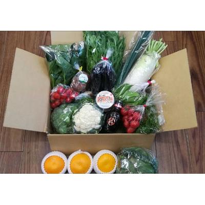 ふるさと納税 御坊市 季節の野菜・果物・特産品お楽しみ詰め合わせセット2