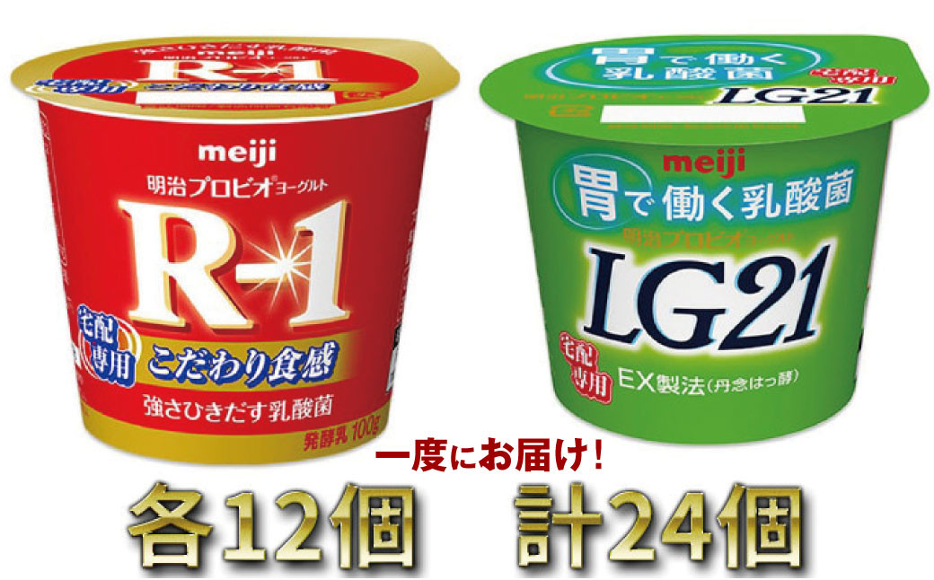 
明治R-1ヨーグルト 12個・LG21ヨーグルト 12個
