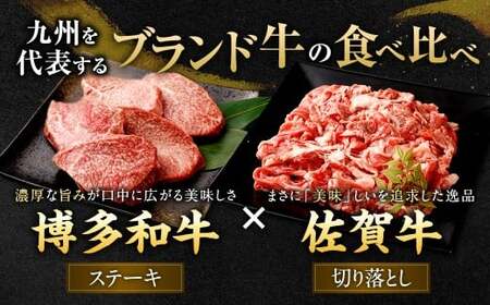 博多和牛 ステーキ （モモ） 10枚 （計約1kg） ＋ 佐賀牛 切り落とし 400g ／ 黒毛和牛 黒毛和種 和牛 牛肉 お肉 肉 もも モモ肉 もも肉 霜降り セット 国産 九州 福岡県 太宰府市