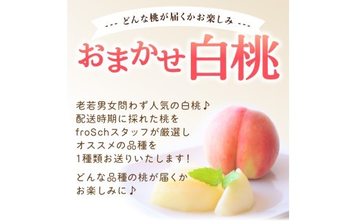 ≪先行受付≫ froSchがお届けするおまかせ白桃 約3kg 【2026年7月下旬より順次発送予定】