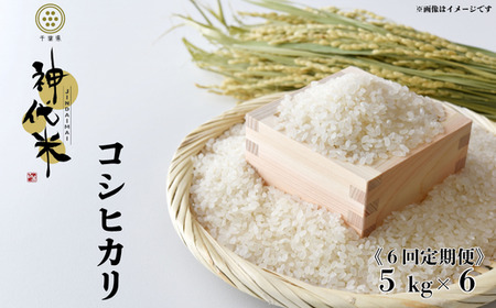 《6回定期便》神代米（コシヒカリ）　精白米　5kg ／ 米 こめ コメ ごはん ご飯 コシヒカリ こしひかり 令和7年産 精米 5kg 定期便 送料無料 