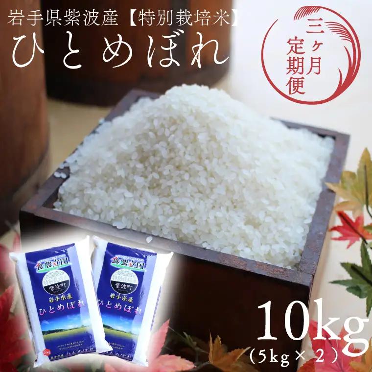【定期便 3ヶ月】令和7年産 特別栽培米 ひとめぼれ 精米 10kg 白米 定期便 AD053