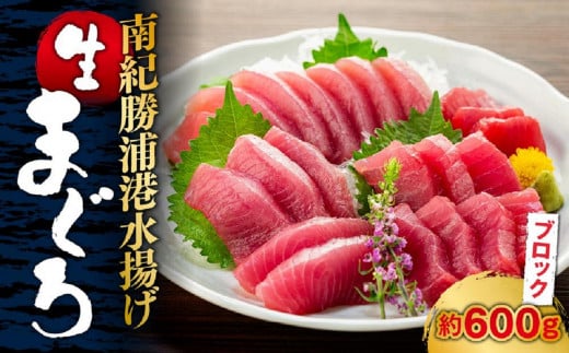 【定期便全5回】生まぐろの本場紀州勝浦から直送！ 生メバチマグロ 約600g（1カ月に1回お届け）（全5ヵ月）