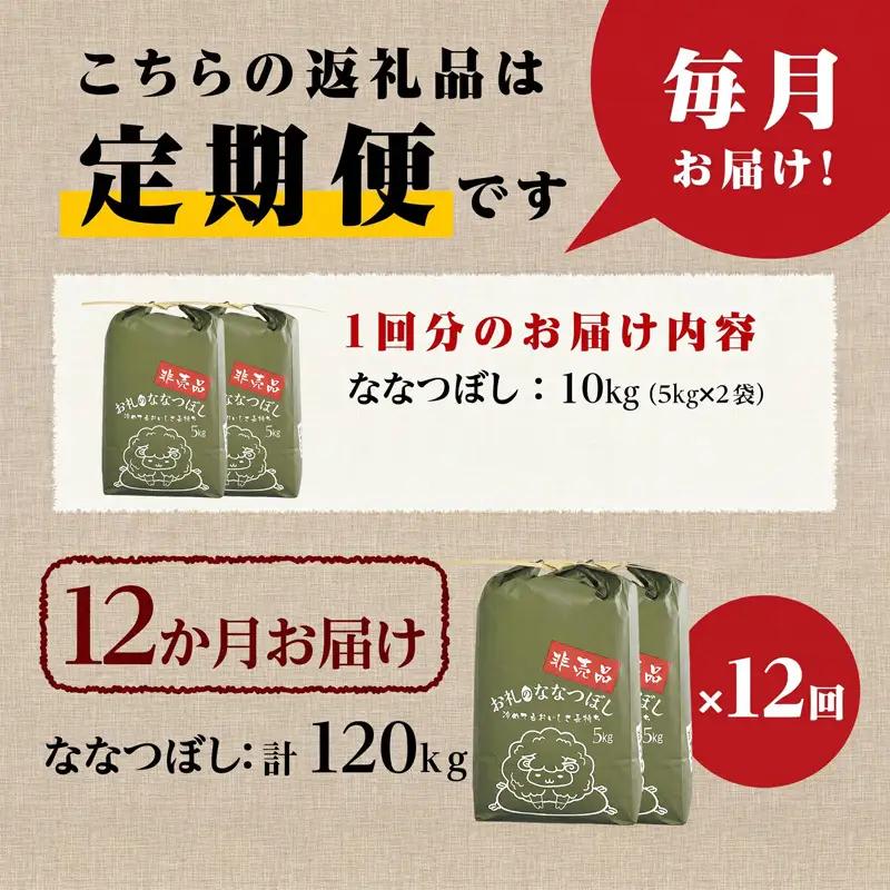 《令和8年産新米》12ヵ月連続お届け!ななつぼし10kg 特A 銘柄 ブランド米 北海道 定期便 精米 道産 お弁当 滝川市