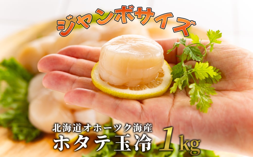 オホーツク産ホタテ玉冷 特大 1kg