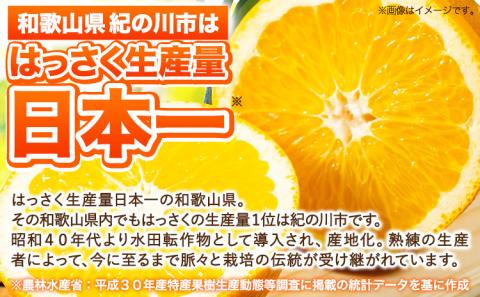 八朔約5kgM～2Lｍ＆ｎ果実園《2025年1月下旬-3月中旬頃出荷》果物はっさくフルーツ柑橘類---wsk_mnk2_h13_23_7000_5kg---