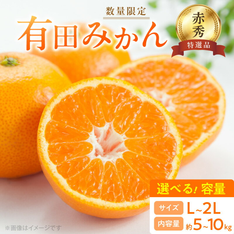 【ふるさと納税】【2025年先行予約】 数量限定 赤秀 特選品 有田みかん L ～ 2Lサイズ 選べる容量 約5kg ～ 約10kg 和歌山県 有田産 追熟 有田 みかん 温州みかん 柑橘 果物 果実 果肉 フルーツ ビタミン 食品 国産 贈答用 ギフト用 期間限定 お取り寄せ 湯浅町 送料無料