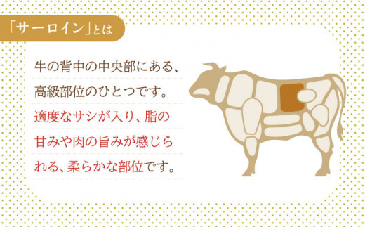 【6回定期便】特選 平戸和牛 サーロインステーキ 約250g×2枚【萩原食肉産業有限会社】[KAD115]/ 長崎 平戸 肉 牛 牛肉 黒毛和牛 和牛 焼肉 ステーキ サーロイン 冷蔵  定期便