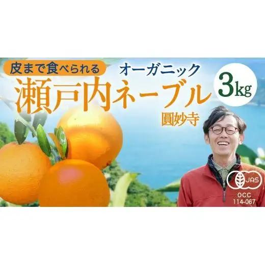 瀬戸内 オーガニック 圓妙寺 ネーブル 3kg ( 10~15個程度 ) 