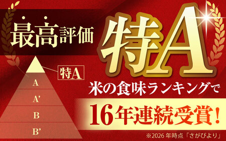 令和7年産 さがびより 白米 3kg（3kg×1袋）特A米 特A評価[HBL087]
