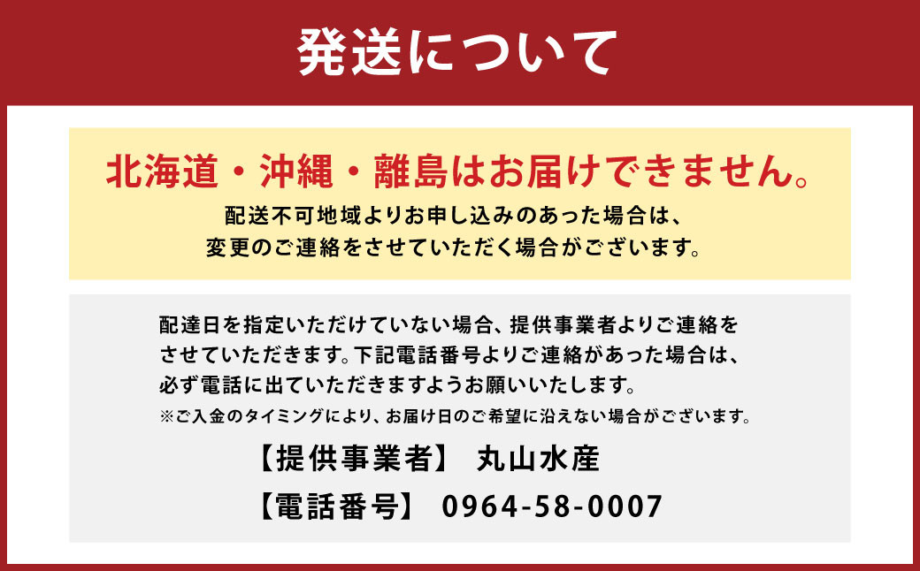 【配送日指定品】上天草産の活き車えび！500g（約16～22尾）