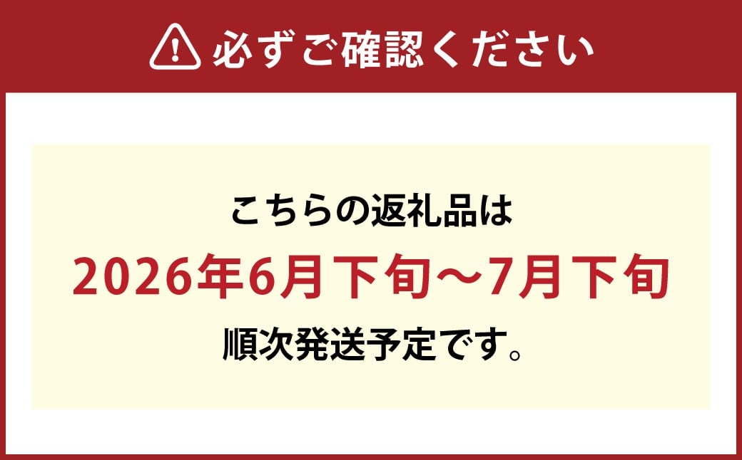 岡山匠の白桃 約1.3kg 4～6玉 家庭用