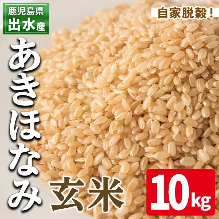 玄米 あきほなみ 10kg 米【田上商店】i863-B
