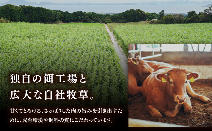 【希少】雲仙 あか牛 スライス 1kg / すき焼き しゃぶしゃぶ 国産 長崎和牛 牛 牛肉 冷凍 / 南島原市 / 株式会社高田牧場 [SGQ009]