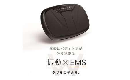 【福岡市】MYTREX W FIT PRO【EMS エクササイズ 器具 トレーニング フット ケア 足 筋トレ 筋肉 静音 運動器具 ステッパー 美容家電 健康家電 日用品 マイトレックス 福岡県 福