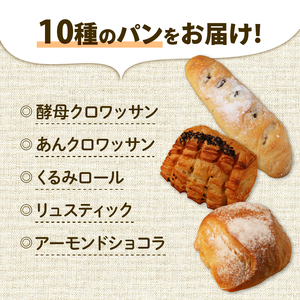 【自家培養酵母】店主厳選アラカルトパン 10点セット 惣菜パン 冷凍パン