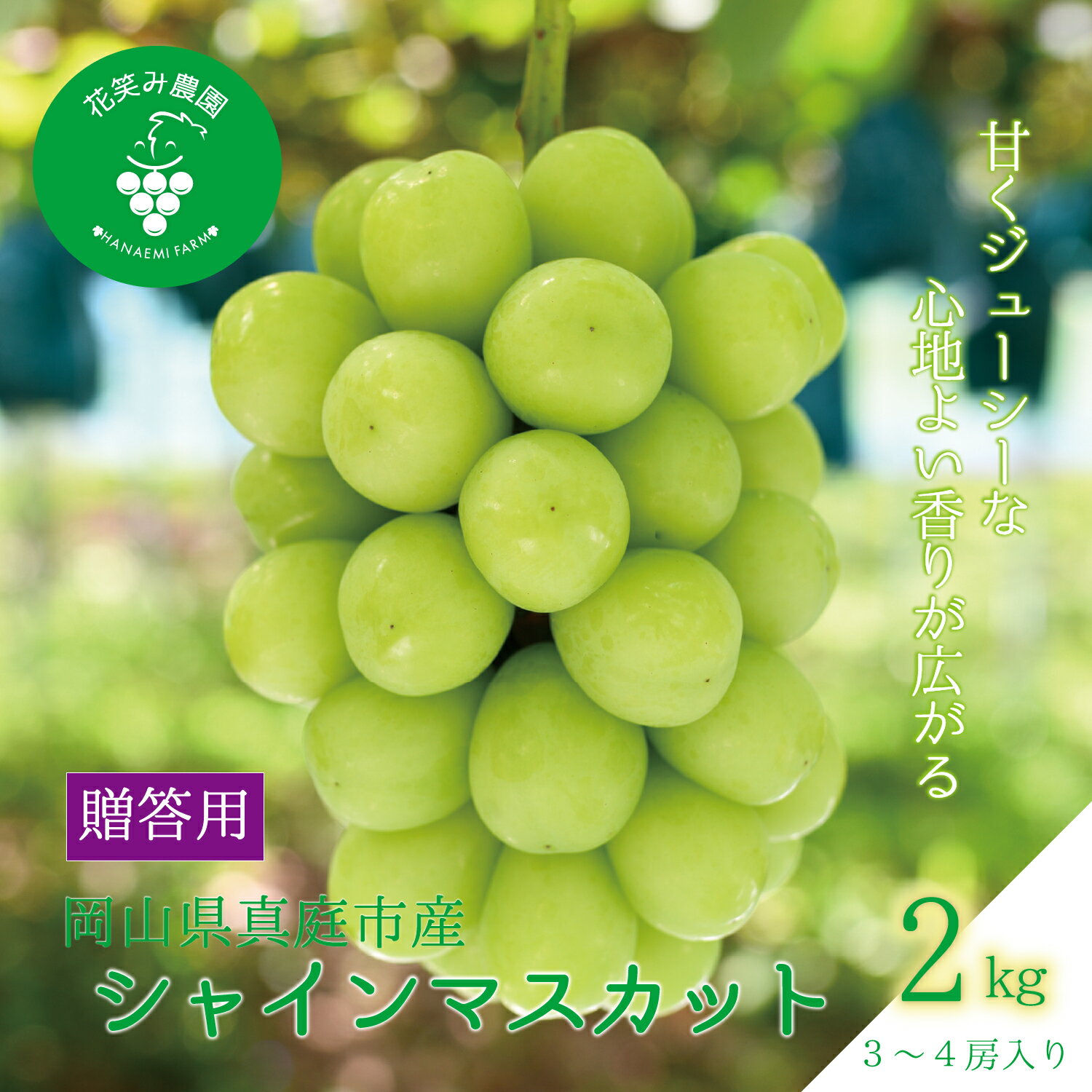 【ふるさと納税】ぶどう 岡山 花笑み農園 『シャインマスカット』約2kg(3〜4房) S-2 hana16-1 2025年9月下旬～受付順に発送予定 贈答用 岡山 真庭市 シャインマスカット 高級 2kg 贈答 2025 大粒 葡萄 ぶどう 果物 フルーツ 人気 数量限定 【1491570】