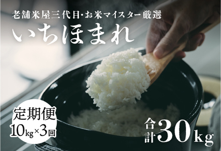 年内特別価格！【定期便】（3ヶ月連続お届け）令和6年産 いちほまれ　10kg×3回　計 30kg