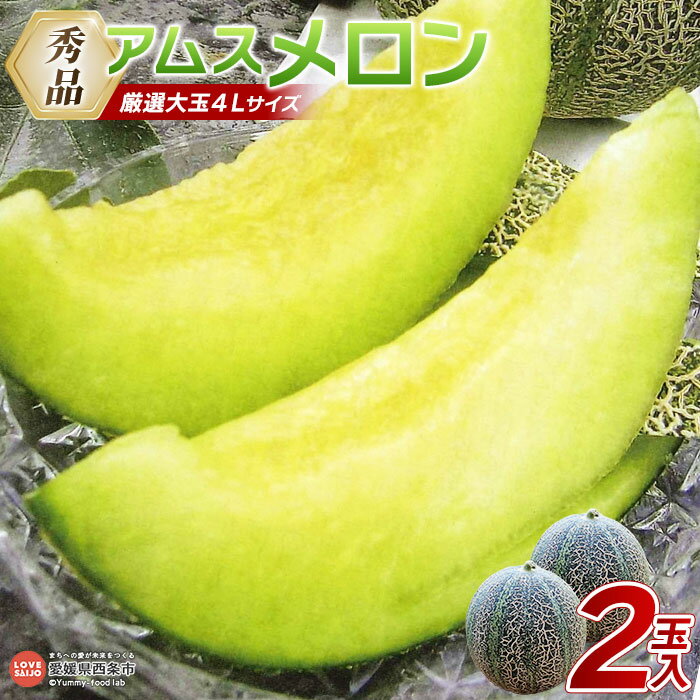 【ふるさと納税】【先行予約】＜アムスメロン（秀品）厳選大玉4Lサイズ 2玉入り＞※2025年6月上旬～6月下旬迄に順次出荷します。 フルーツ 果物 くだもの めろん 国産 青肉 甘い 旬 2個 期間限定 数量限定 産地直送 特産品 JA周桑 農業協同組合 愛媛県 西条市【常温】