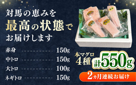 【全2回定期便】対馬産 本マグロ 4種 計550g（赤身/中トロ/大トロ/ネギトロ）マグロ 鮪 赤身 中トロ 大トロ ねぎとろ[WAH033]