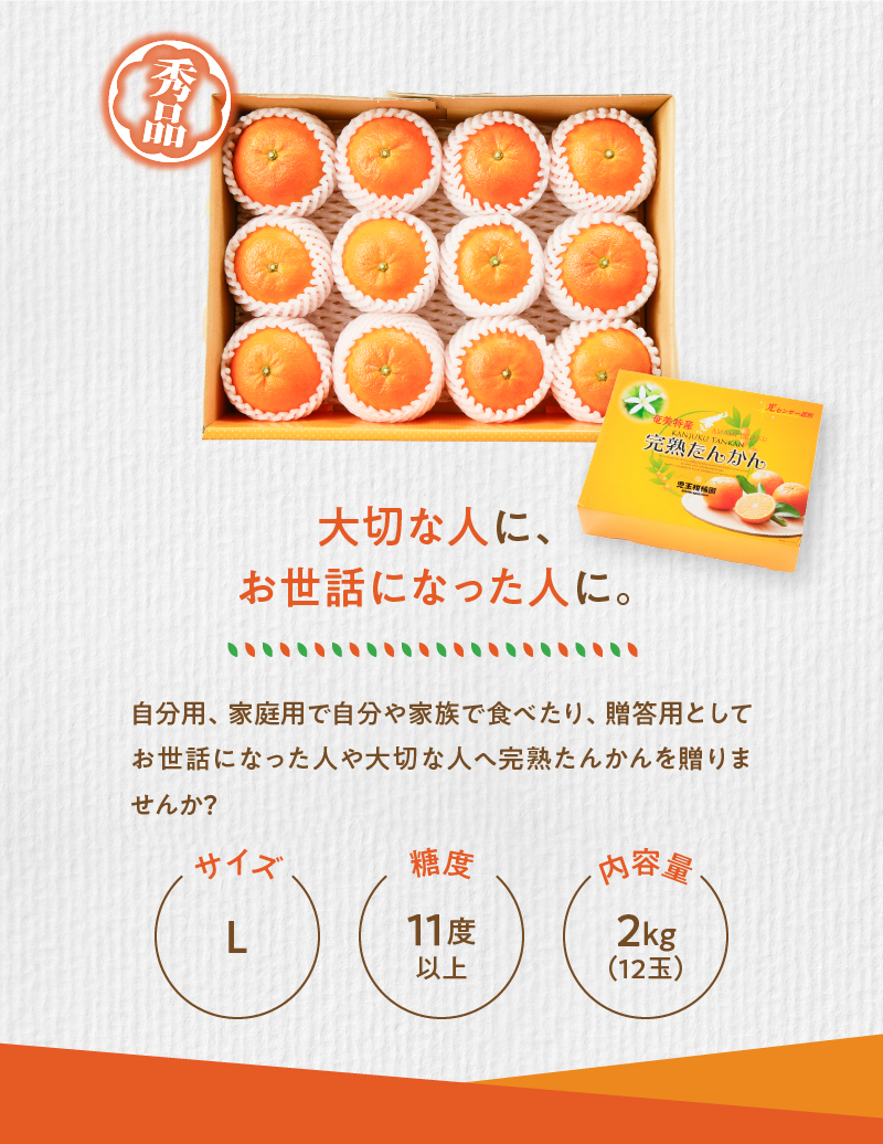 【先行予約】【児玉柑橘園】奄美完熟たんかん 贈答用 2kg＜秀品＞　A061-001
