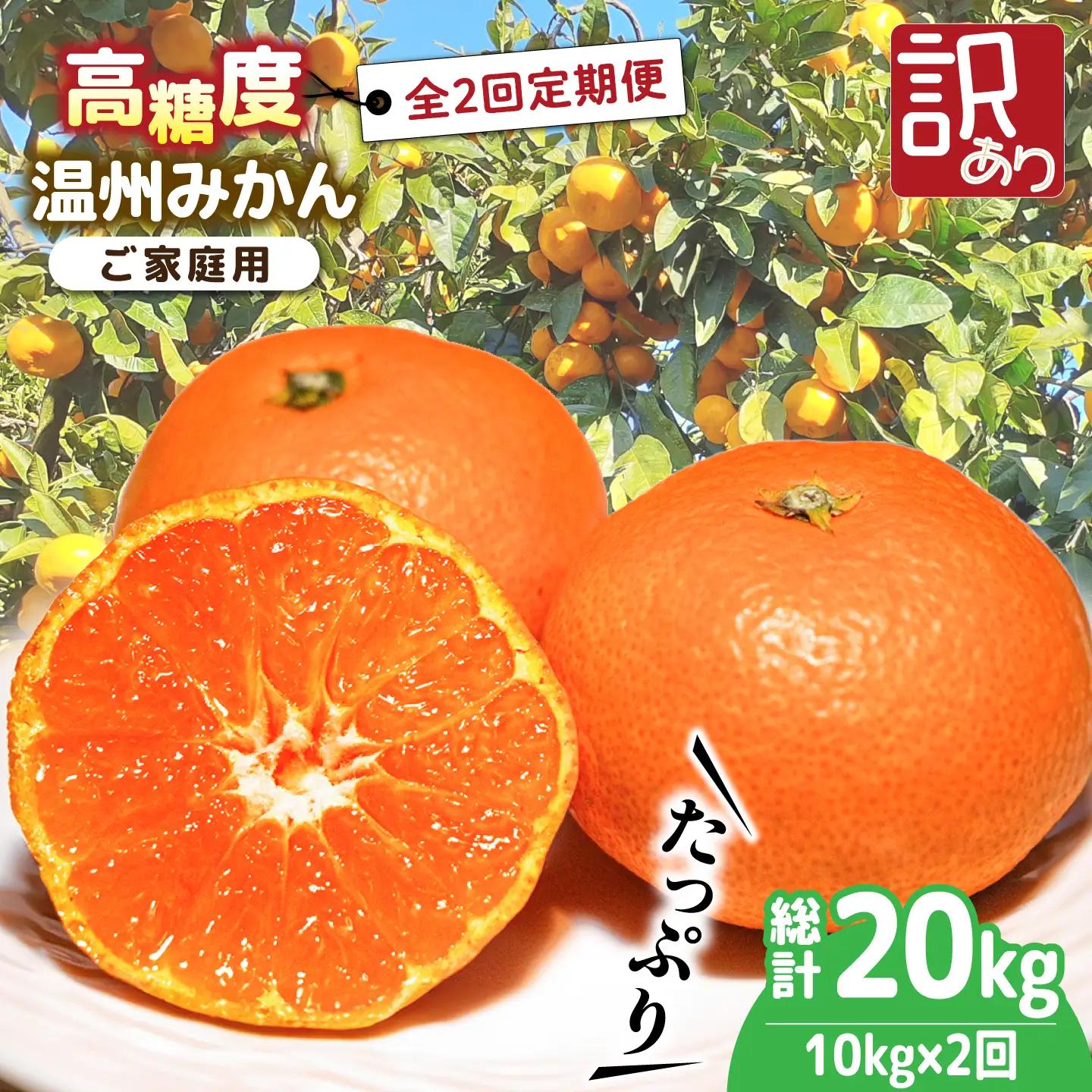 【2026年12月-発送】【2回定期便】温州みかん約10kg（傷もの）計約20kg みかん / 南島原果物屋 [SCV016]