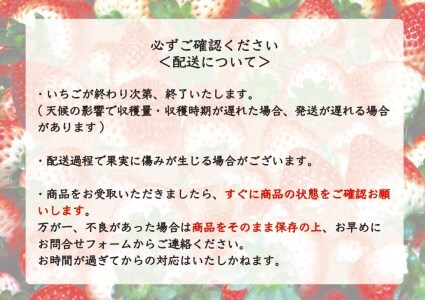 [先行予約・じゅわっと溢れだす] とちあいか＆スカイベリー食べ比べセット600g (12月中旬より順次発送予定)｜いちご 苺 フルーツ 果物 産地直送 [0422]