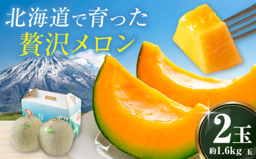 【先行予約】 北海道産 ようていメロン 赤肉 2玉 (約1.6kg/玉)  ※2025年8月下旬以降順次発送 《喜茂別町》【Aコープようてい】 メロン めろん 赤肉 赤肉メロン 贈答 贈答用 先行予約 デザート フルーツ 果物 常温 常温配送 北海道 甘い ギフト プレゼント 産地直送 産直 贅沢 ぜいたく ご褒美 特別 季節限定 [AJAK004] 13000 13000円
