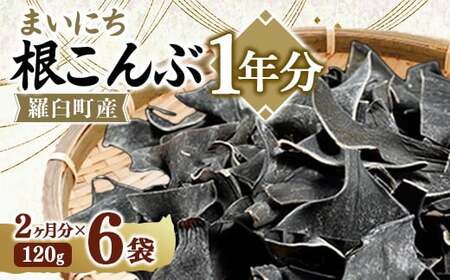 まいにち根こんぶ 1年分 生産者 支援 応援 F21M-290