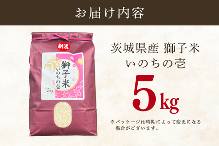 【令和7年産】獅子米 いのちの壱 精米 5kg 岡田ファーム コンテスト受賞米 お米 白米 米 おこめ ブランド米 5キロ 国産 単一原料米 コメ こめ ご飯 銘柄米 茨城県産 茨城 産直 産地直送 