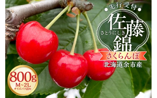 【2027年産 先行予約】＜北海道余市産＞さくらんぼ「佐藤錦」（M～2Lサイズバラ詰め）400g×2パック さくらんぼ 佐藤錦 サクランボ 人気さくらんぼ 佐藤錦 さくらんぼ