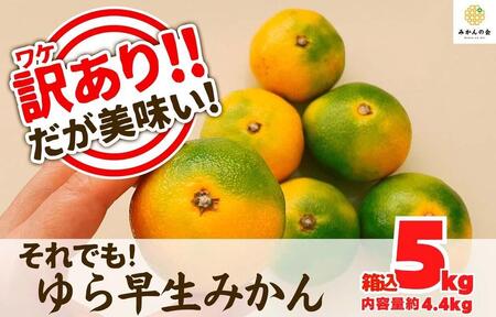 訳あり ゆら早生 みかん 箱込5kg(内容量 4.4kg)サイズミックス  有田みかん 和歌山県産 【みかんの会】［2026年10月下旬頃より順次発送予定］