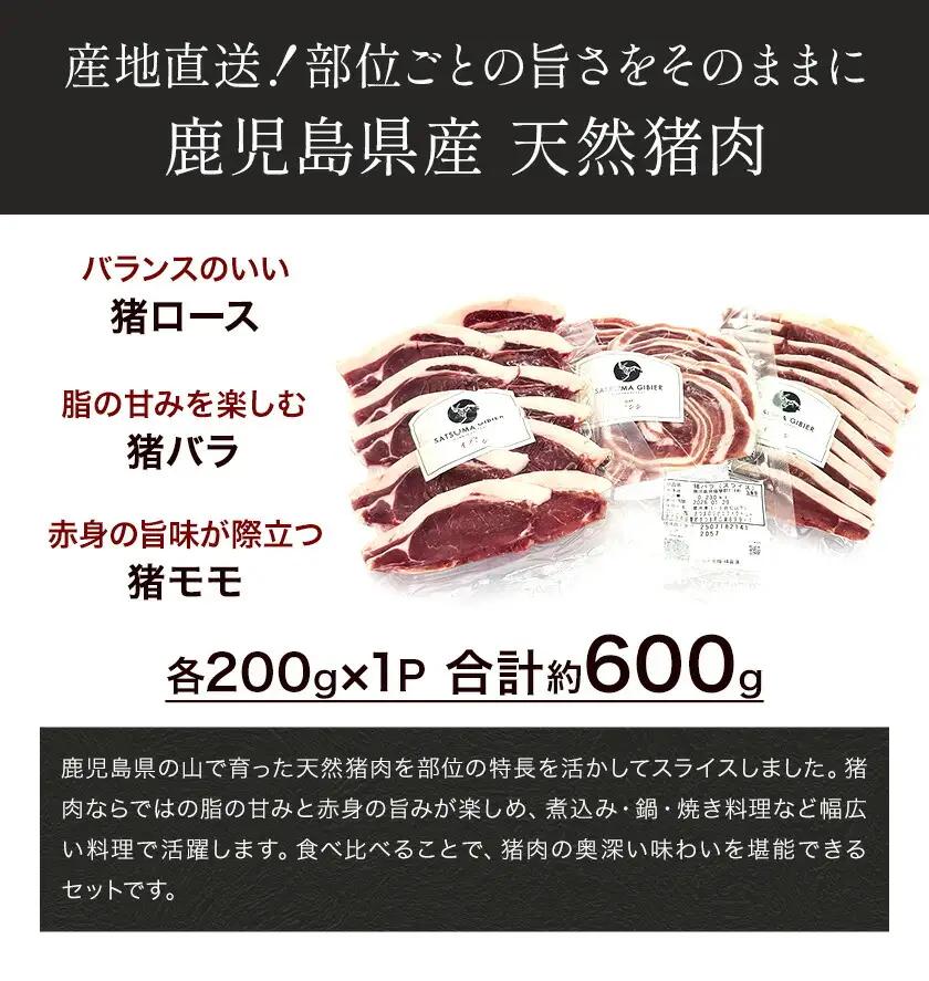 猪肉 スライス 3種セット ロース バラ モモ 計約600g ダブルビーゼット株式会社《30日以内に出荷予定(土日祝除く)》