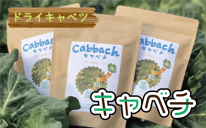 
            【先行予約】 ドライキャベツ キャベチ 3袋（2026年1月～配送） キャベツ アフロキャベツ 訳あり おつまみ お菓子 おやつ 野菜 銚子産 千葉県産 春キャベツ 生産量 旬の野菜 旬の味覚 甘い スープ カップラーメン 乾燥野菜 調理 中華 和食 洋食 季節限定 国産 贈答 プレゼント 贈り物 ギフト 贈答 グルメ 送料無料 ふるさと納税 ふるさと納税野菜 千葉県 銚子市 くるくるやっほー
          