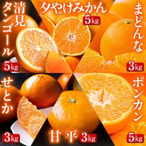 【発送月固定定期便】「蜜時(みつどき)便り」みかんやまどんな、甘平、せとかなど【H64-93】全6回【4069713】