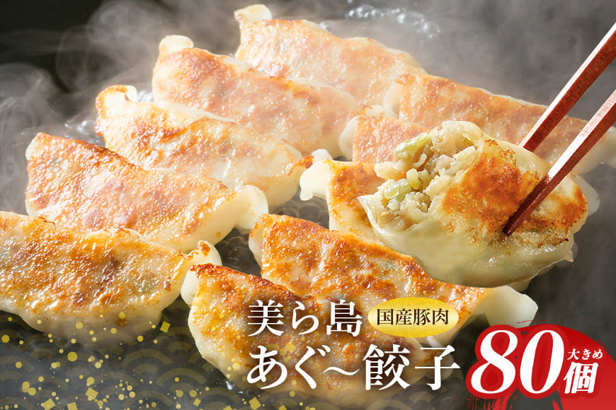 
            「美ら島あぐーⓇ」餃子　80個（20個入×4P）
          