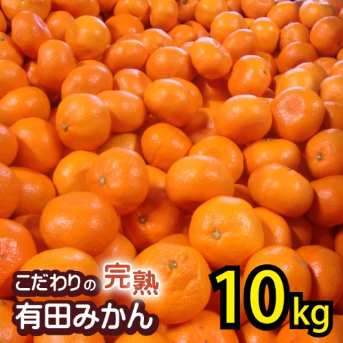 ＼光センサー選別／こだわりの 有田みかん 約10kg＋250g(傷み補償分) 【ご家庭用】【2024年12月発送】