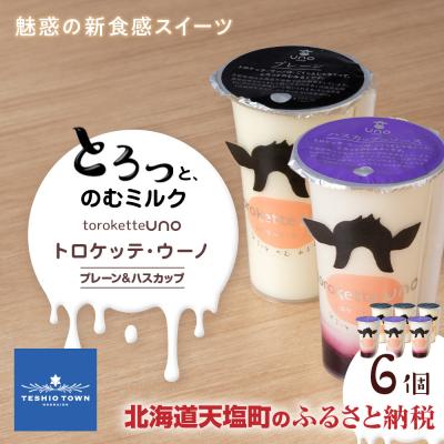 ふるさと納税 天塩町 トロケッテ・ウーノ プレーン&amp;ハスカップ 合計6個