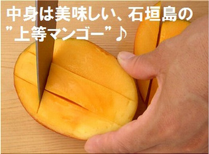 【予約受付】石垣島産 《訳あり・ご自宅用マンゴー》 約2kg エコ箱入り(3～6個入り) 2025年6月中旬～順次発送 SI-30-2