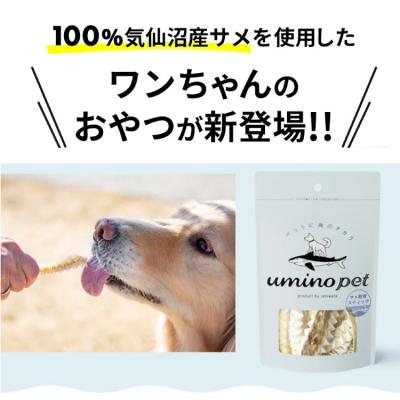 ふるさと納税 気仙沼市 UMINO PET サメ軟骨スティック 40g×1個 [石渡商店 20563943] ◎ |  | 01