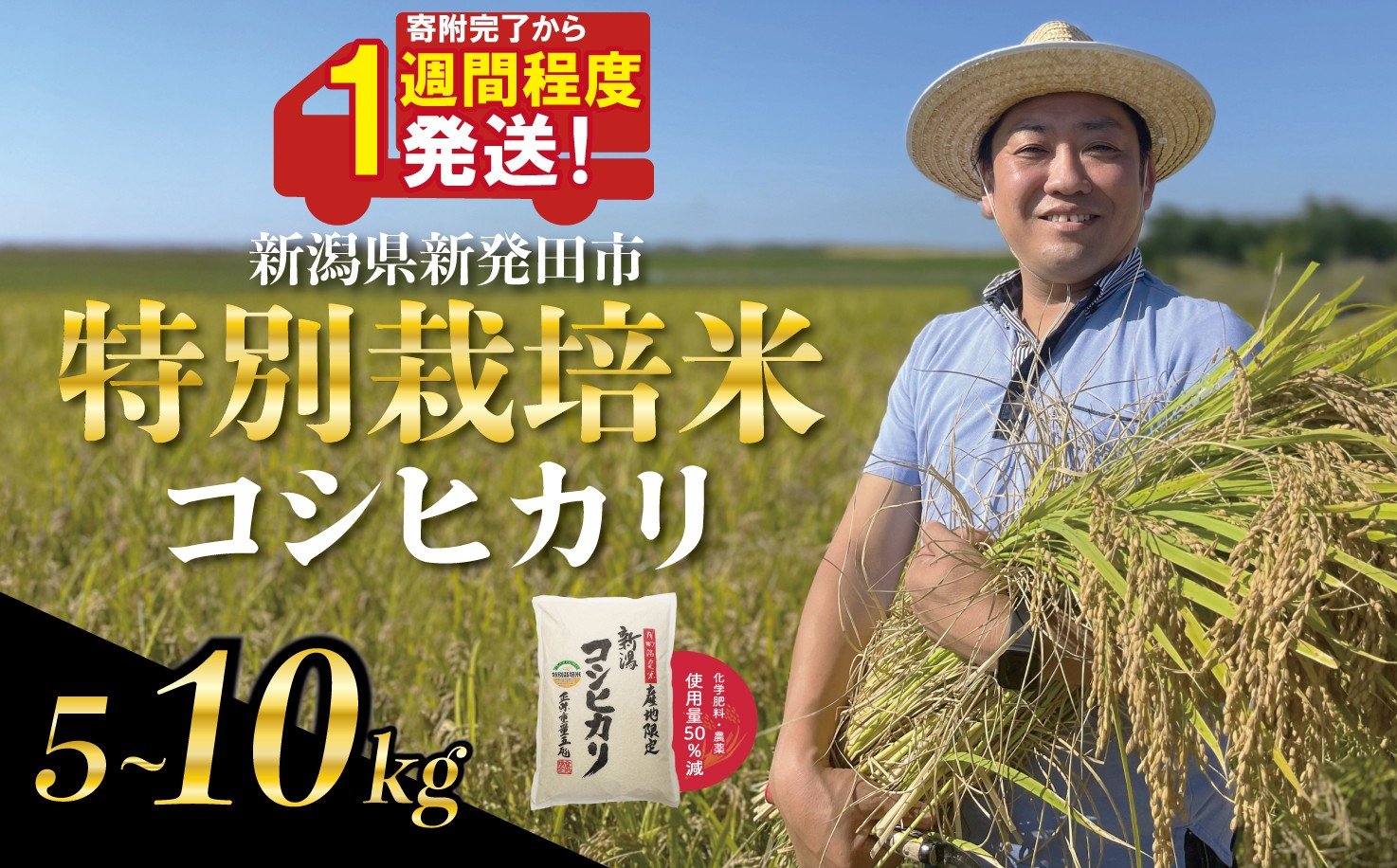 
            【7日程度発送】令和6年産 コシヒカリ 特別栽培米 5kg 10kg 新潟 米 新潟県 白米 こめ ご飯 ごはん おいしい こしひかり 新発田産 新潟産 新発田 朝食 昼食 夕飯 炊きたて 精米
          