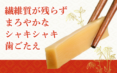 放置竹林から生まれた 滋賀県産生メンマ「近江竹菜」 2種食べ比べ 120g×4パック 計480g [KT001]/ 国産
