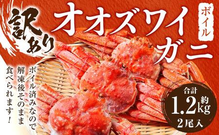 「訳あり」オオズワイガニボイル　2尾　合計約1.2kg