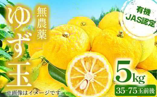 【有機JAS認定】無農薬 ゆず玉　5kg【先行予約 ゆず ゆず玉 果物 フルーツ 柚子 無農薬 安心安全 果皮 果汁 5kg 1kgあたり7～15個 期間限定 季節限定 11月～12月上旬発送】