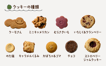 【人気クッキー専門店】クッキー缶（9種類入り）| クル 北本市