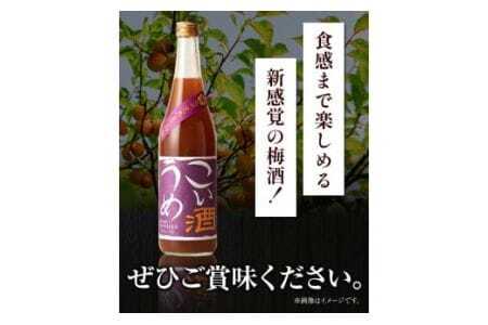 梅酒 こいうめ酒 720ml 酒のねごろっく 《90日以内に出荷予定(土日祝除く)》梅酒梅酒