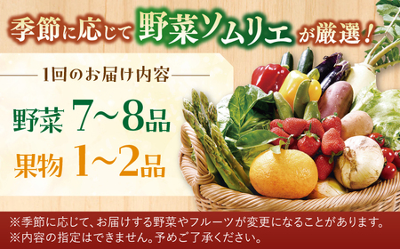 【6回定期便】ソムリエ厳選安心の地元野菜と果物のお任せセット【株式会社ひらど新鮮市場】[KAB160]/ 長崎 平戸 野菜 果物 キャベツ アスパラガス ナス 大根 かぶ ミニトマトトマト 玉ねぎ い